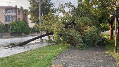 Erzincan’da fırtına binaların çatılarını uçurdu, ağaçlar köklerinden devrildi. Etkili olan