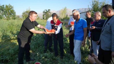 Erzincan’ın Karatuş köyünde yaz aylarının vazgeçilmezi karpuz hasadı başladı. Bölge