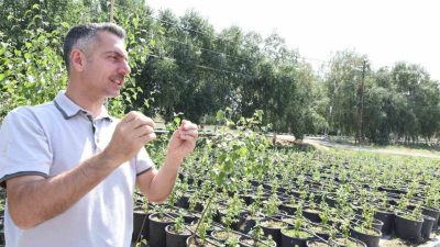 Erzurum Orman Bölge Müdürü Serkan Karakurt, bölgede 2025 yılı sonuna