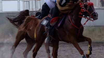 Erzurum’da ata sporu olan cirit heyecanı lig maçlarıyla devam ediyor.