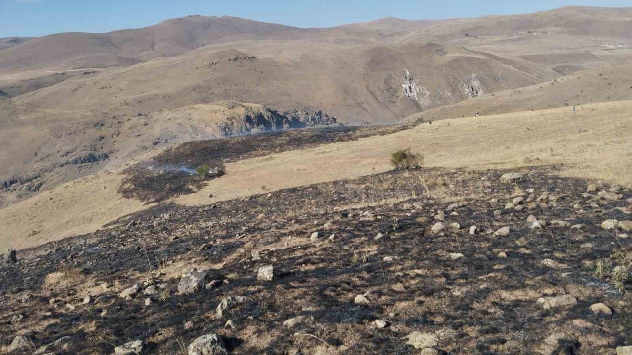 Erzurum’un Aşkale ilçesine bağlı Turaç köyünde otluk alanda yangın çıktı.