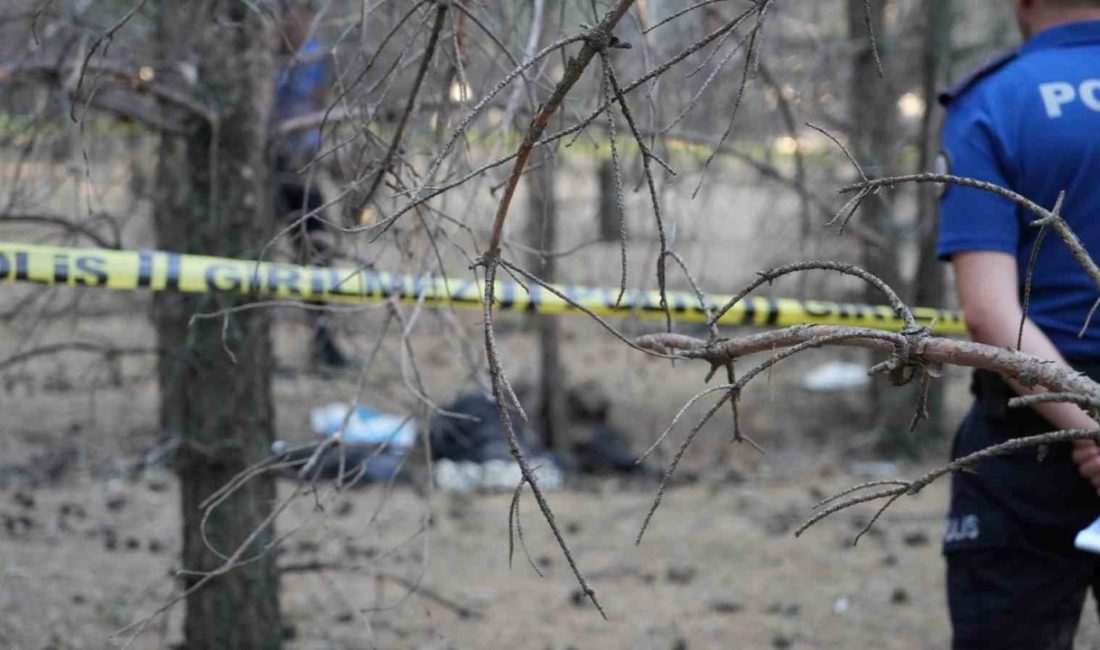 Erzurum’da ormanlık alanda bedeni tamamen çürümüş olan bir erkek cesedi