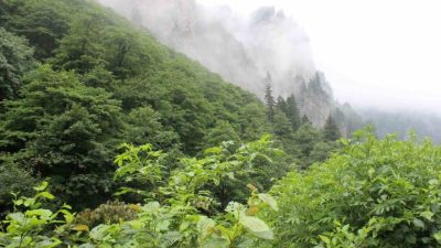 Trabzon’un Vakfıkebir ilçesinde 3 gün önce eşini önce bıçakla yaralayan