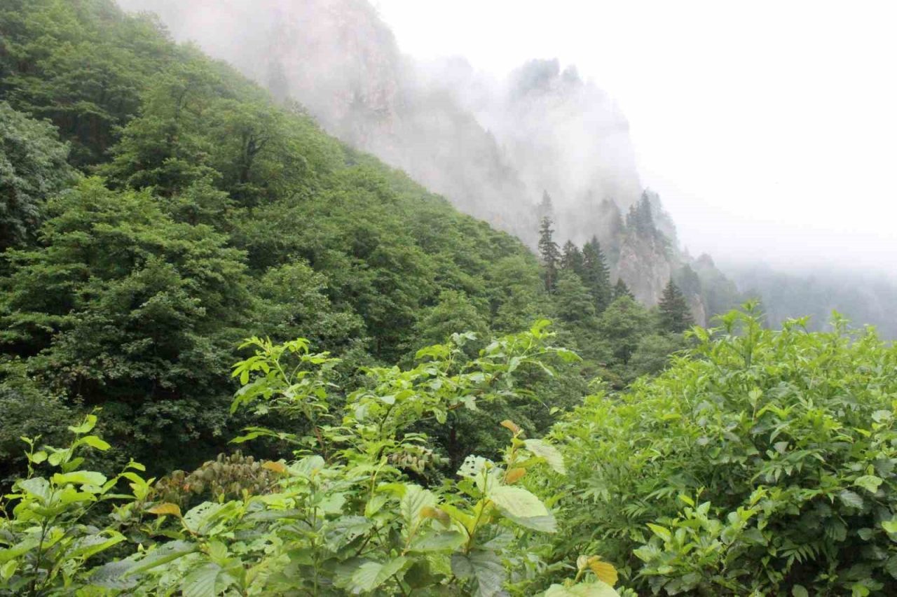 Trabzon’un Vakfıkebir ilçesinde 3 gün önce eşini önce bıçakla yaralayan