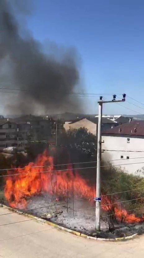 Kocaeli’nin Kartepe ilçesinde otluk alanda çıkan yangın korkuya sebep oldu.