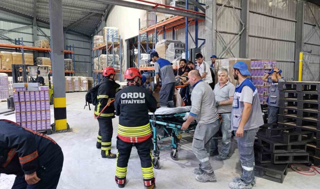 Ordu’nun Fatsa ilçesinde kedi kumu fabrikasında palet makinesine sıkışan bir