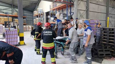 Ordu’nun Fatsa ilçesinde kedi kumu fabrikasında palet makinesine sıkışan bir