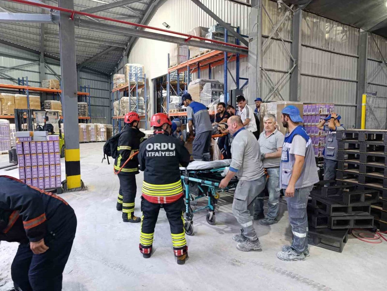Ordu’nun Fatsa ilçesinde kedi kumu fabrikasında palet makinesine sıkışan bir