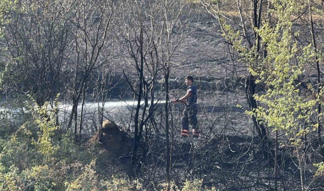 Sakarya’nın Adapazarı ilçesinde evlerin yanındaki otluk alanda çıkan yangın, itfaiye