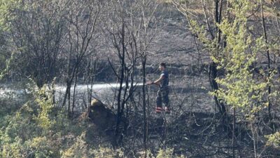 Sakarya’nın Adapazarı ilçesinde evlerin yanındaki otluk alanda çıkan yangın, itfaiye