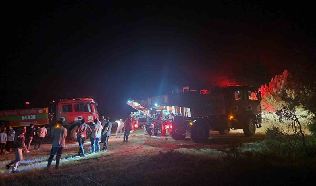 Sakarya’nın Geyve ilçesinde çıkan ormanlık alan yangınında yaklaşık 5 dönüm