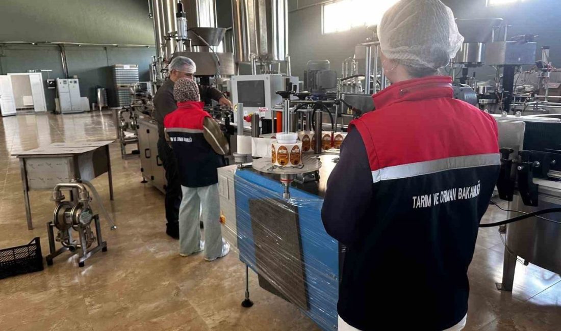 Erzurum’da gıda satışı yapan işyerlerine yönetim denetimler tüm hızıyla devam