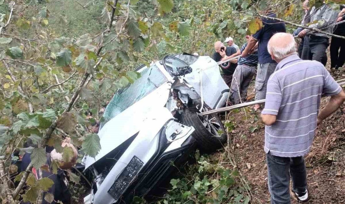 Giresun’un Görele ilçesine bağlı Şenlik köyünde meydana gelen trafik kazasında