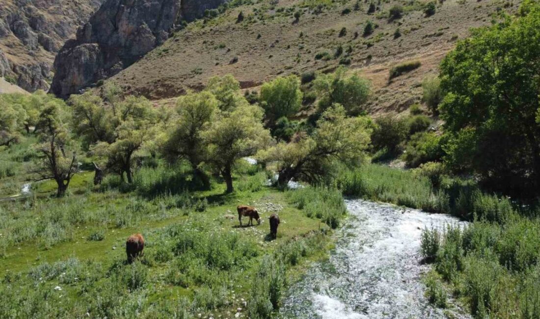 Dünyanın en görkemli şelalelerinden biri olan Erzincan’ın Çağlayan beldesindeki Girlevik