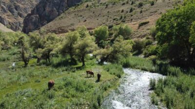 Dünyanın en görkemli şelalelerinden biri olan Erzincan’ın Çağlayan beldesindeki Girlevik