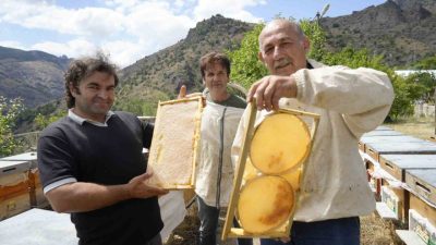 Gümüşhane’de 2025 yılı bal hasadı rekoltesi kovan başına 20 kilonun