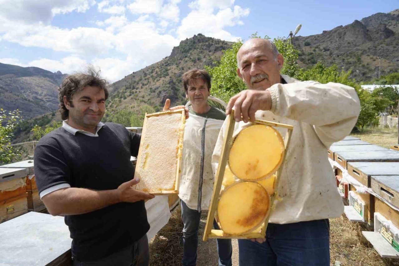 Gümüşhane’de 2025 yılı bal hasadı rekoltesi kovan başına 20 kilonun