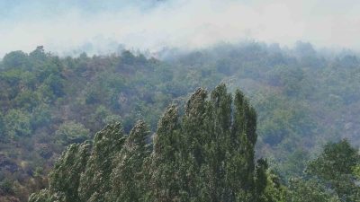Gümüşhane’nin Kürtün ilçesinde ağaçlık alanda yangın çıktı. Ekiplerin müdahalesi sürüyor.