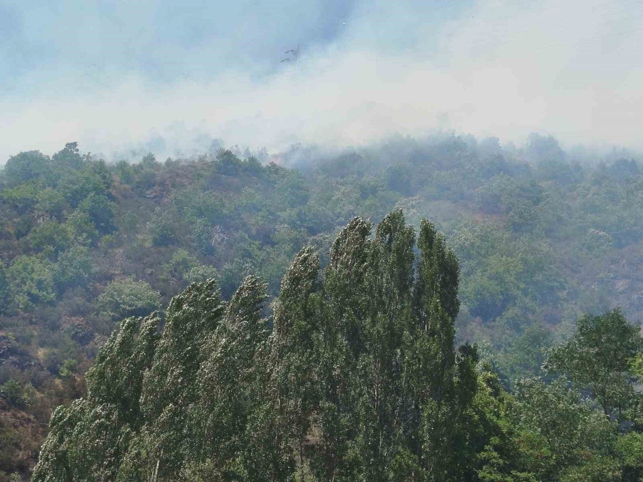 Gümüşhane’nin Kürtün ilçesinde ağaçlık alanda yangın çıktı. Ekiplerin müdahalesi sürüyor.