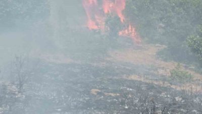 Gümüşhane’nin Kelkit ilçesine bağlı Gümüşgöze beldesinde çobanın yaktığı ateşin kuru