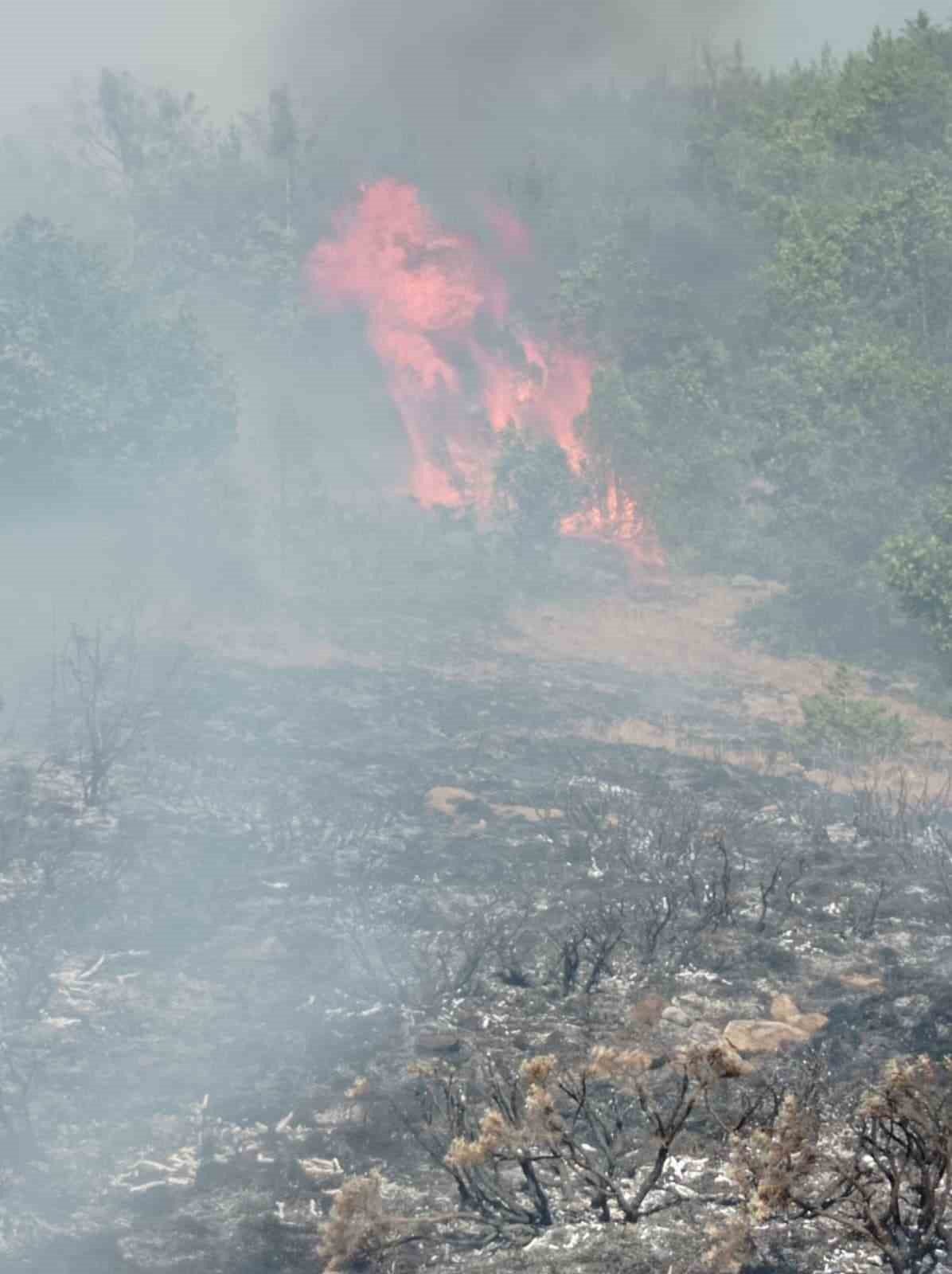 Gümüşhane’nin Kelkit ilçesine bağlı Gümüşgöze beldesinde çobanın yaktığı ateşin kuru