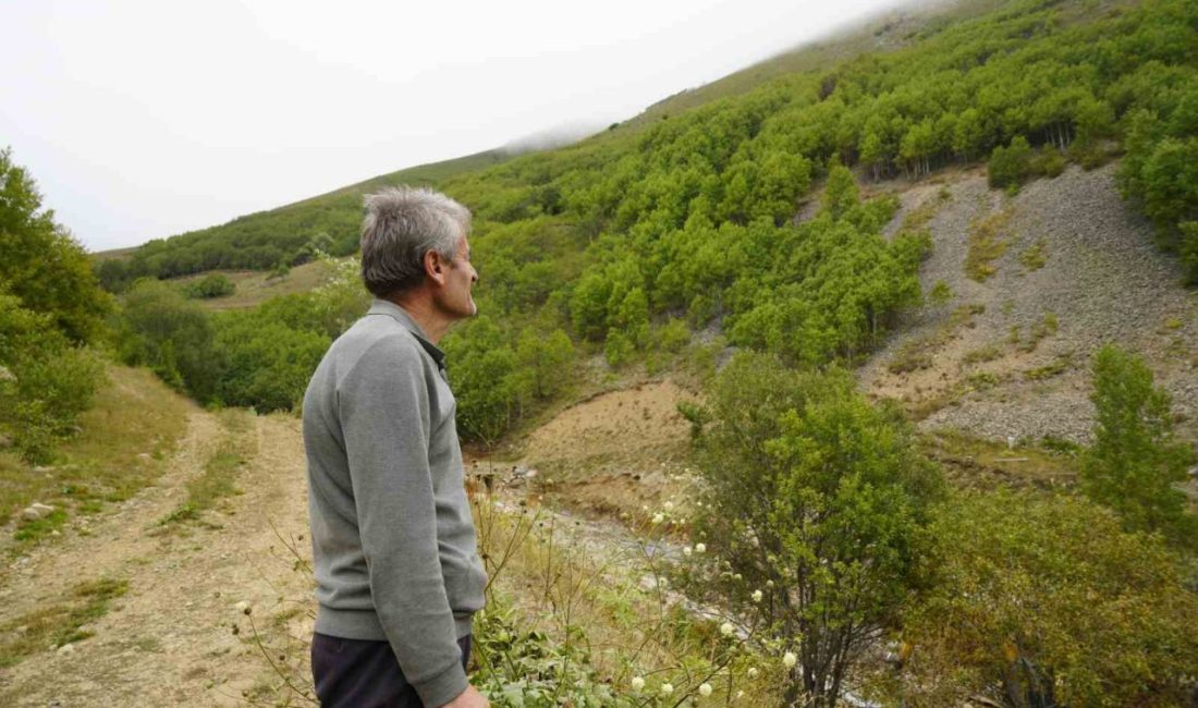 Gümüşhane’nin en yüksek rakımlı köylerinden biri olan Dağdibi köyünde yaşayan