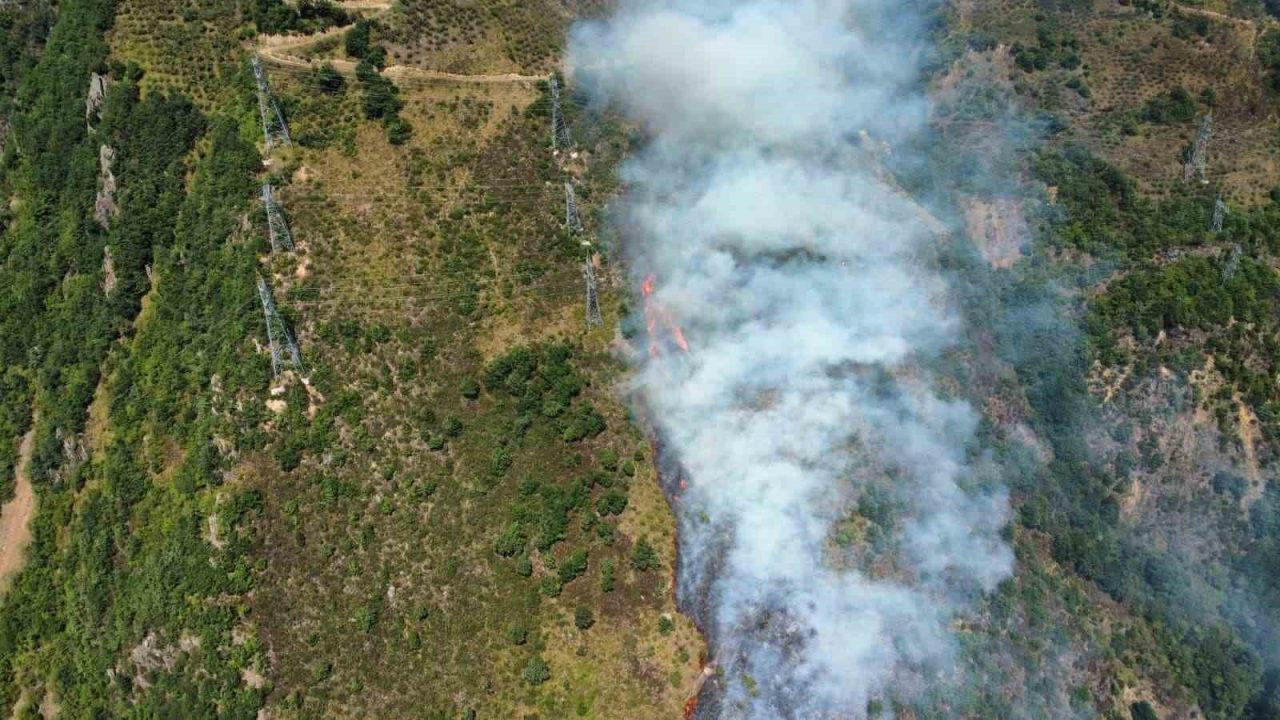 GÜMÜŞHANE (İHA) – Gümüşhane’nin Kürtün ilçesinde fındıklık alanda çıkan yangın