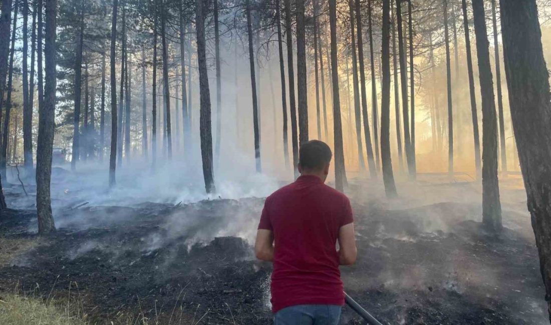 Kastamonu’nun Hanönü ilçesinde ormanlık alanda çıkan yangın ekipler tarafından büyümeden