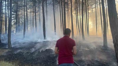 Kastamonu’nun Hanönü ilçesinde ormanlık alanda çıkan yangın ekipler tarafından büyümeden