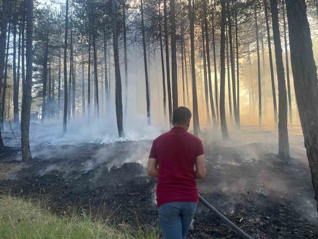 Kastamonu’nun Hanönü ilçesinde ormanlık alanda çıkan yangın ekipler tarafından büyümeden