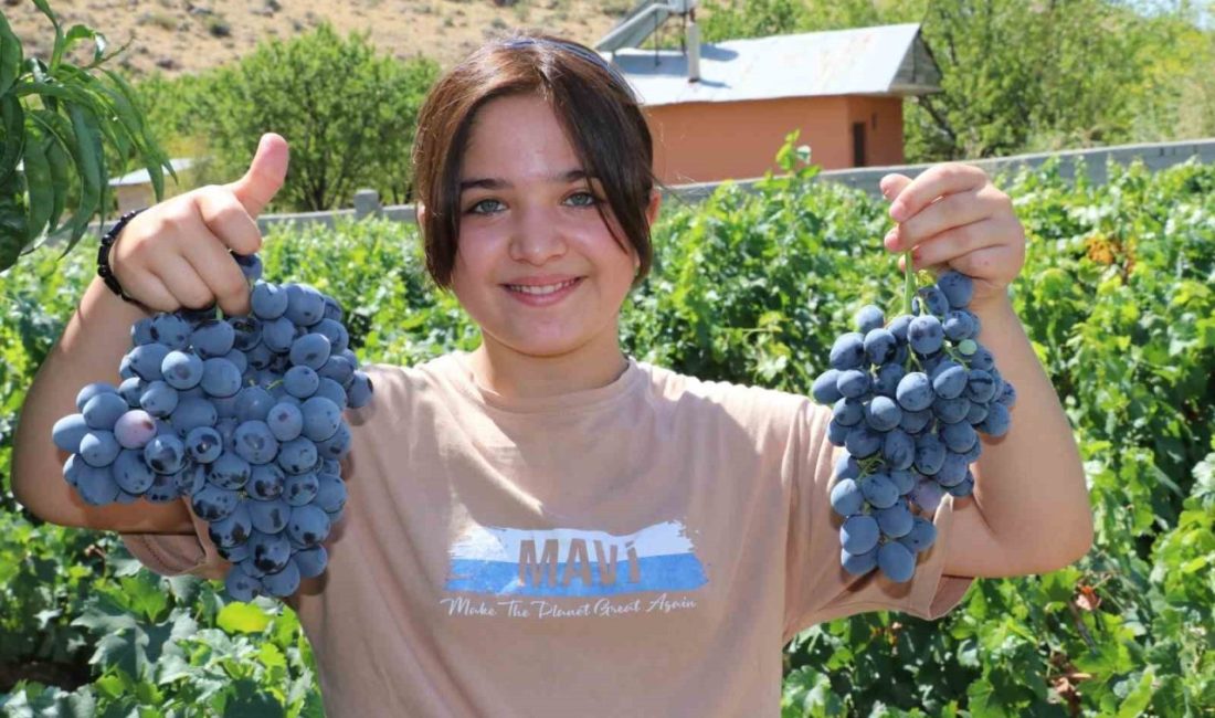 Erzincan ekonomisine katlı sağlayan ve sağlık açısından şifa kaynağı olan