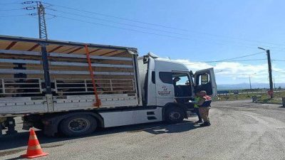 Erzurum İl Jandarma Komutanlığınca gerçekleştirilen operasyonlarda 24 düzensiz göçmen yakalandı.