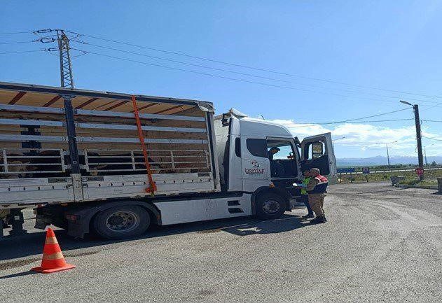 Erzurum İl Jandarma Komutanlığınca gerçekleştirilen operasyonlarda 24 düzensiz göçmen yakalandı.