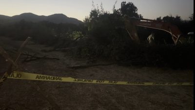 Erzincan’ın Ekmekli köyünde kanal çalışması sırasında devrilen ağacın altında kalan