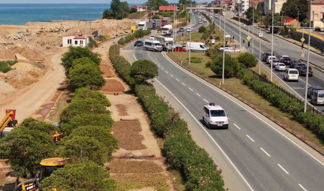 Karadeniz’de fındık hasadı sürerken, Trabzon’da bazı üreticiler topladıkları fındığı Karadeniz