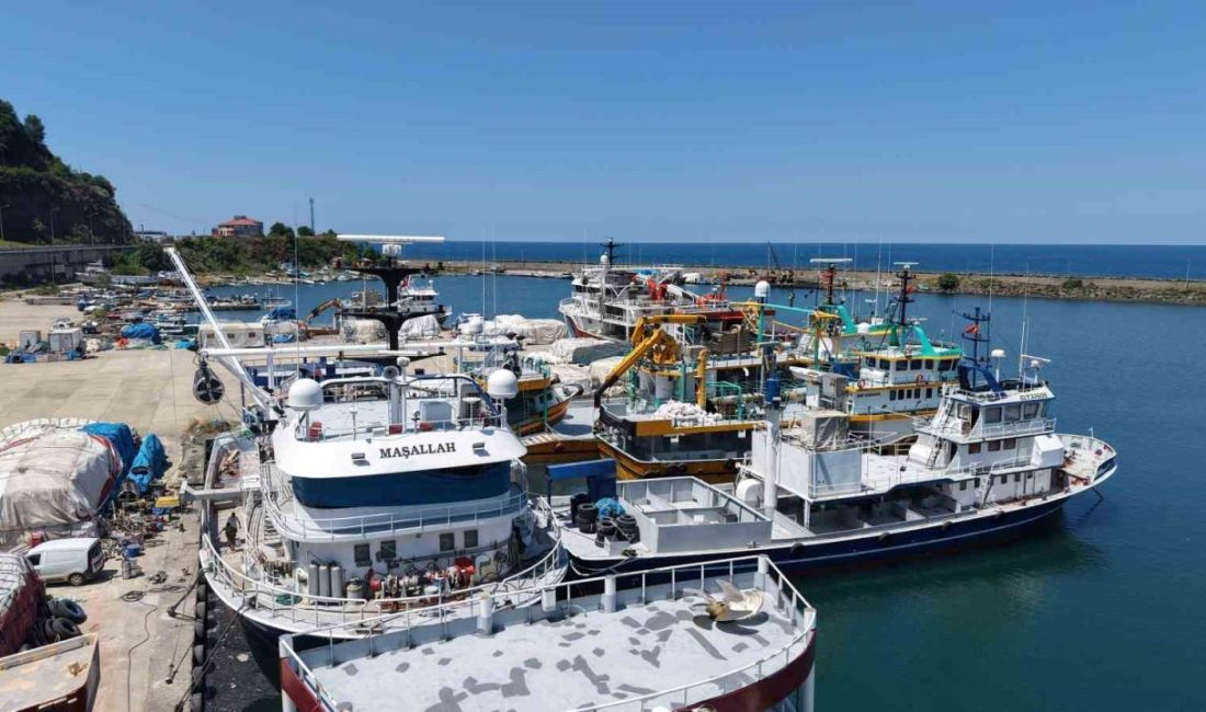 Karadeniz’de yeni av sezonuna sayılı günler kala denizlerde hareketlilik başladı.