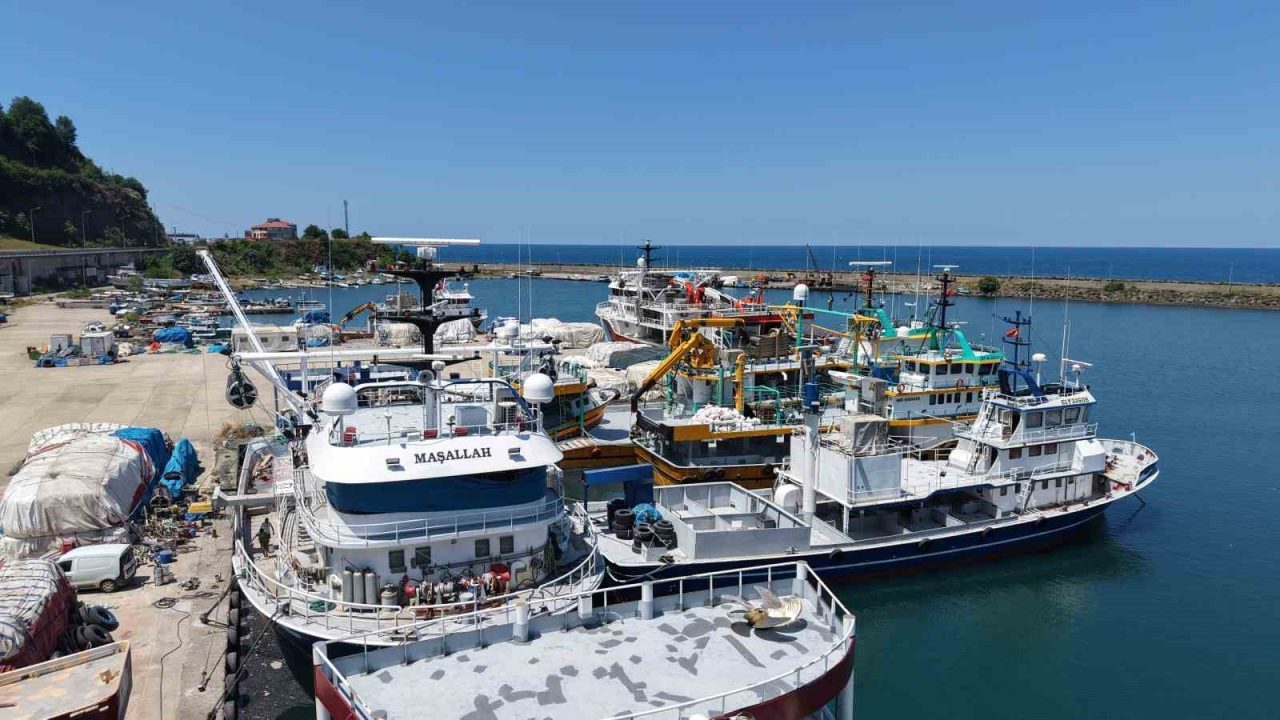 Karadeniz’de yeni av sezonuna sayılı günler kala denizlerde hareketlilik başladı.