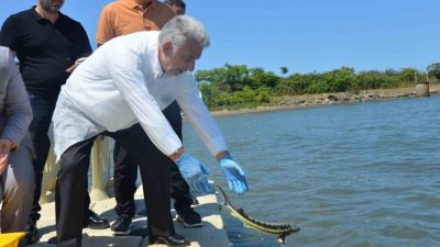 Trabzon’un Yomra ilçesinde faaliyet gösteren Tarım ve Orman Bakanlığı Tarımsal