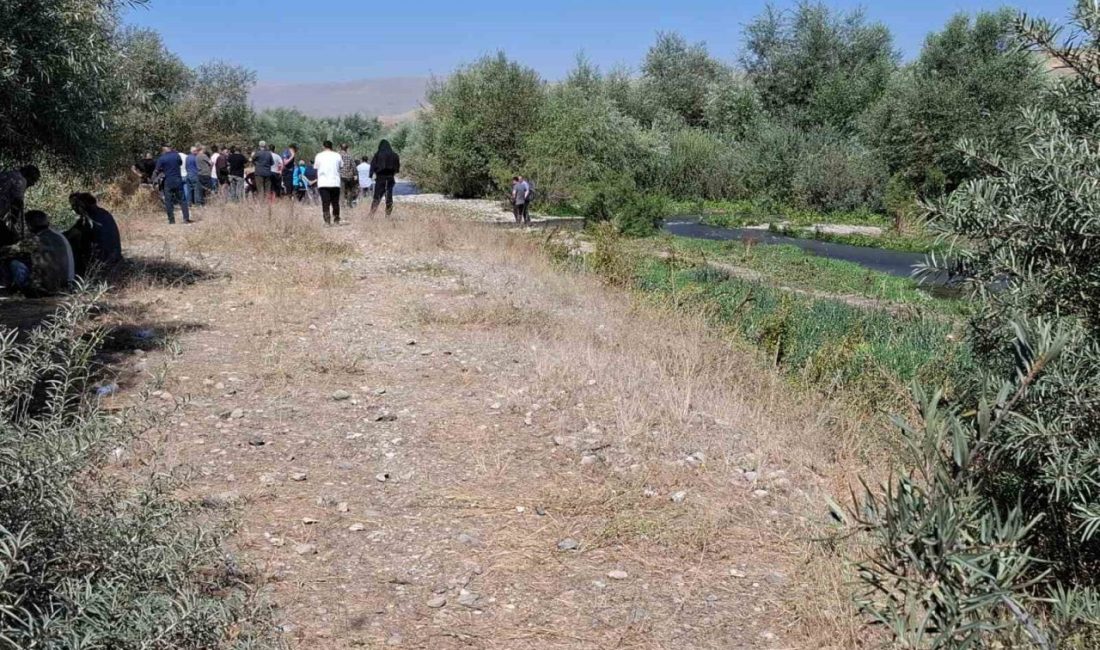 Erzurum’un Aşkale ilçesinde önceki gün meydana gelen trafik kazasında Karasu