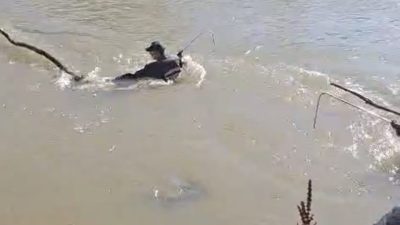 Erzurum’un Aşkale ilçesinde dün gece meydana gelen trafik kazasında Karasu