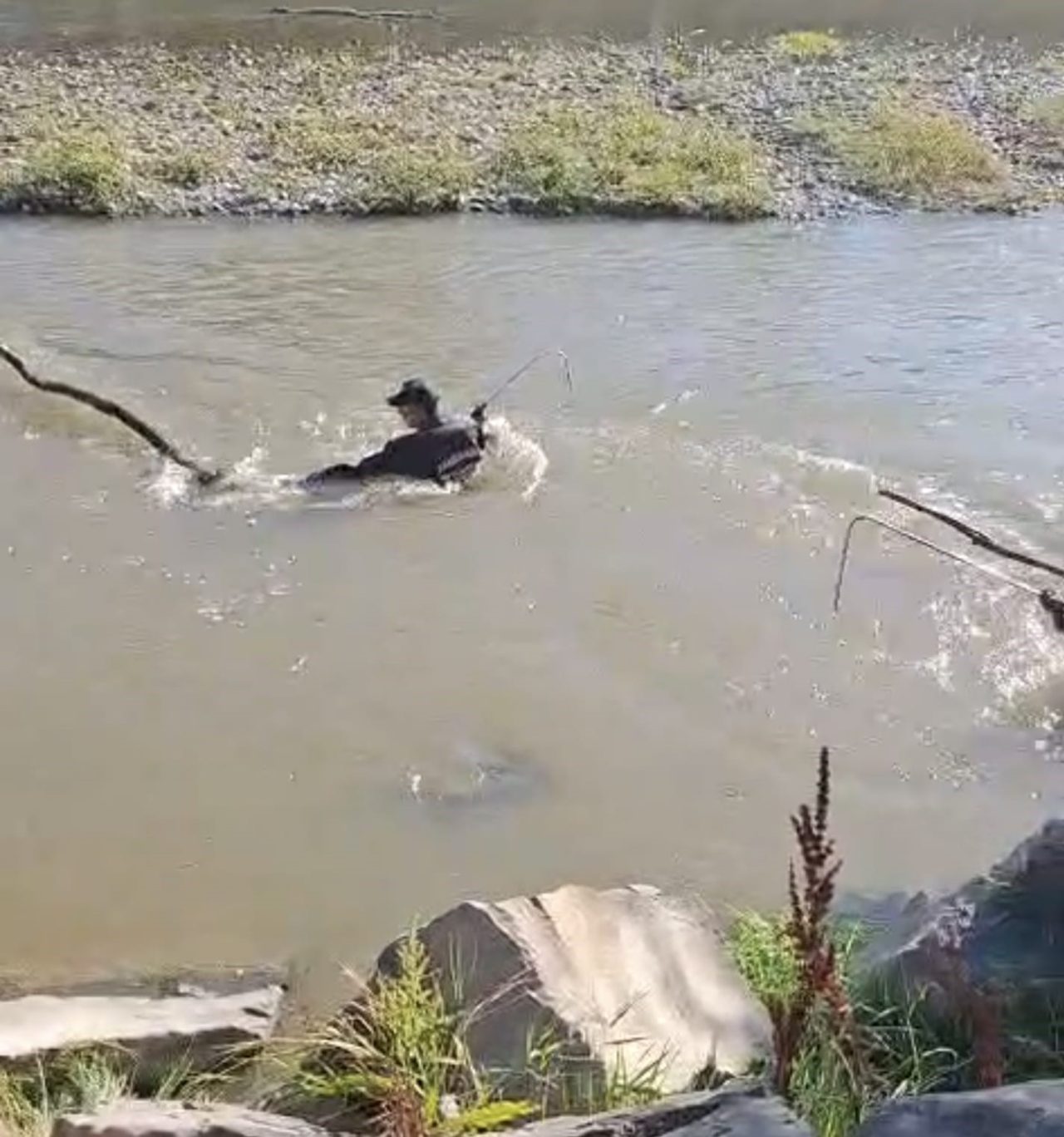 Erzurum’un Aşkale ilçesinde dün gece meydana gelen trafik kazasında Karasu