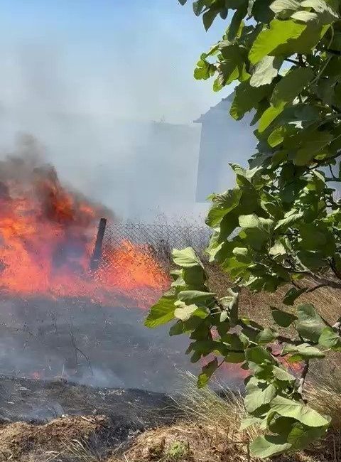 Kocaeli’nin Kandıra ilçesi Koruklar köyünde yangın başladı. Yangının yerleşim yerine