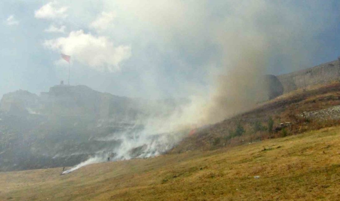 Kars’ın tarihi simgelerinden Kars Kalesi’nin eteklerinde çıkan anız yangını korkuttu.