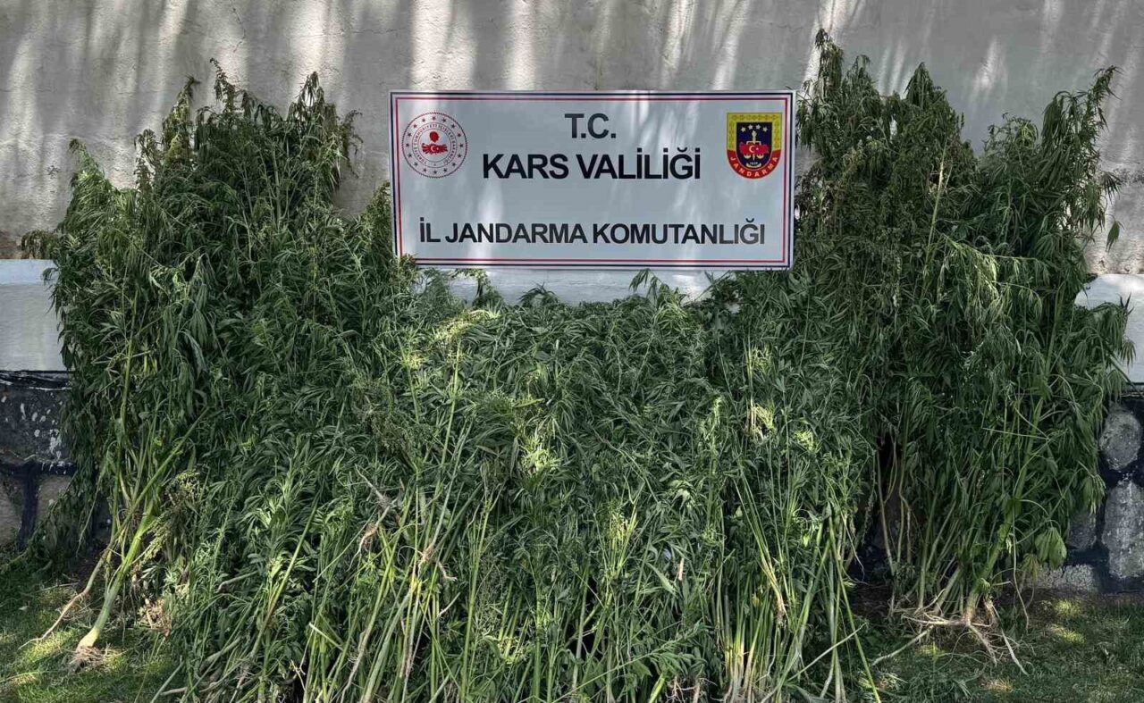 Kars’ta son 3 ayda jandarma ekiplerince uyuşturucu tacirlerine yönelik düzenlenen