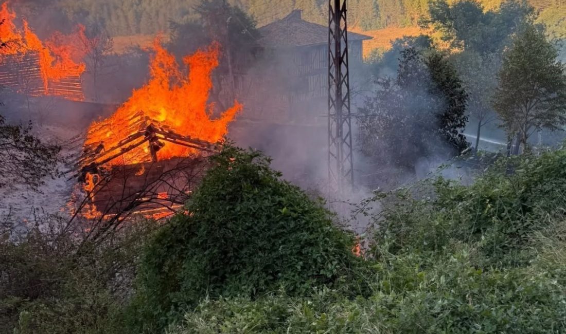 Kastamonu’nun Araç ilçesinde çıkan yangında iki samanlık yanarak küle döndü.
