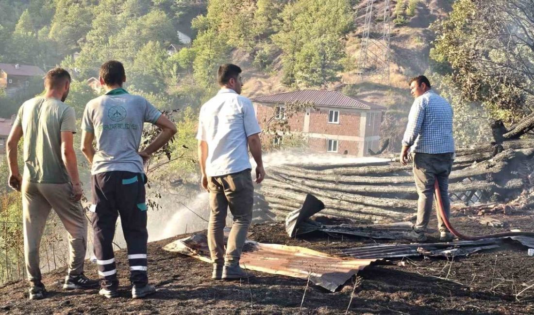 Kastamonu’nun Şenpazar ilçesinde aynı bölgede ikinci kez çıkan orman yangını,