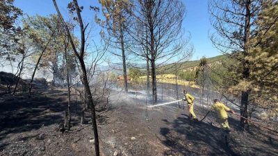 Kastamonu’nun Araç ilçesinde ormanlık alanda çıkan yangında samanlık, kümes ve