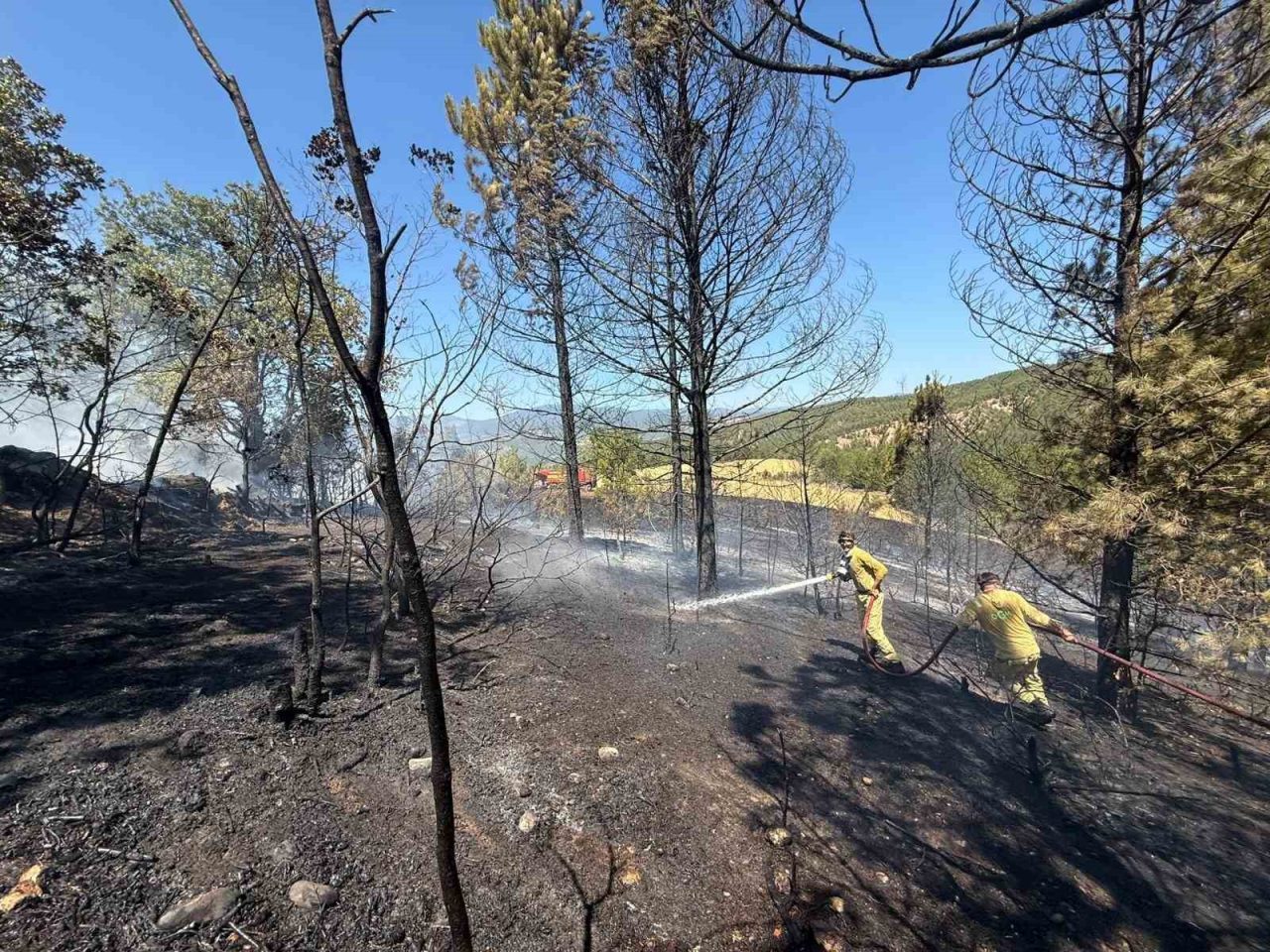 Kastamonu’nun Araç ilçesinde ormanlık alanda çıkan yangında samanlık, kümes ve
