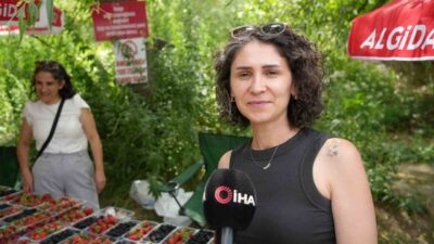 Erzincan’da üretilen organik çilek ve böğürtlenler, hava sıcaklığının 40 dereceyi