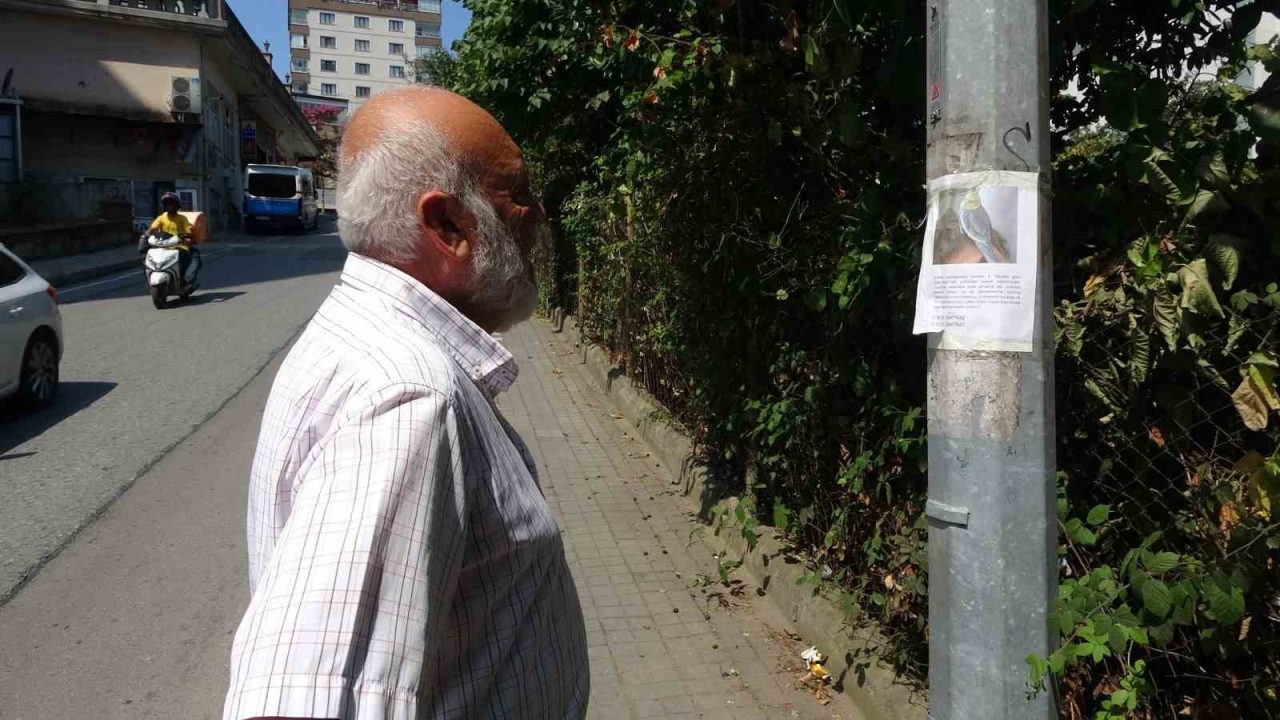 Trabzon’un Ortahisar ilçesine bağlı Çukurçayır Mısırlı Mahallesi’nde yaşayan Alan ailesi,